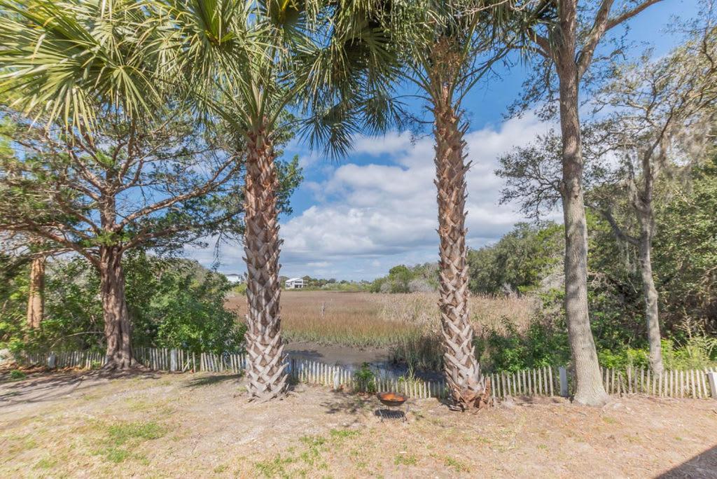 Marsh Front Birders Paradise Close To Beaches And Downtown St. Augustine Dış mekan fotoğraf